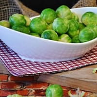 What You Should Be Planting Now To Be Ready For Christmas