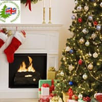 How To Buy and Care For Your Christmas Tree This Festive Season