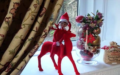 The Elf On The Shelf
