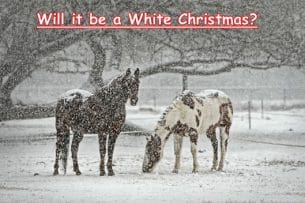 2016 Snow Watch – Will It Be A White Christmas?  See This Years Predictions