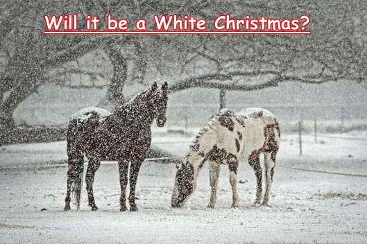 snow watch