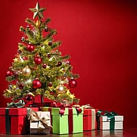 Christmas Trees Go On Sale This June At Argos Online