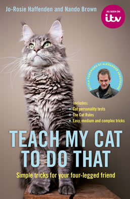 Teach My Cat To Do That
