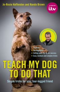 Christmas Review 2017:  ‘Teach My Pet To Do That’ Books