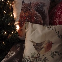 Our Top Picks Of Christmas Cushions & Throws