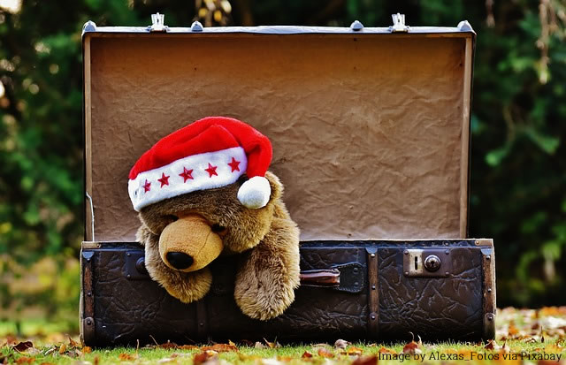 Christmas Winter Suitcase