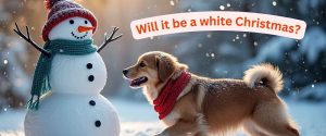 2025 UK Snow Watch – Will It Be A White Christmas?