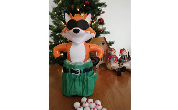 Drumond Park's Foxy Pants kids game