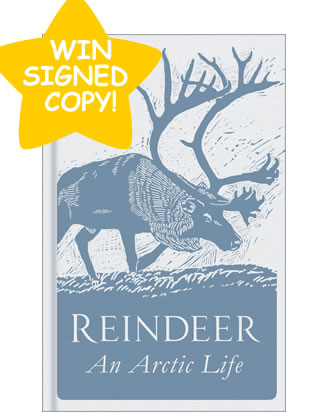 WIN Three SIGNED copies of Tilly Smith’s Reindeer: An Arctic Life