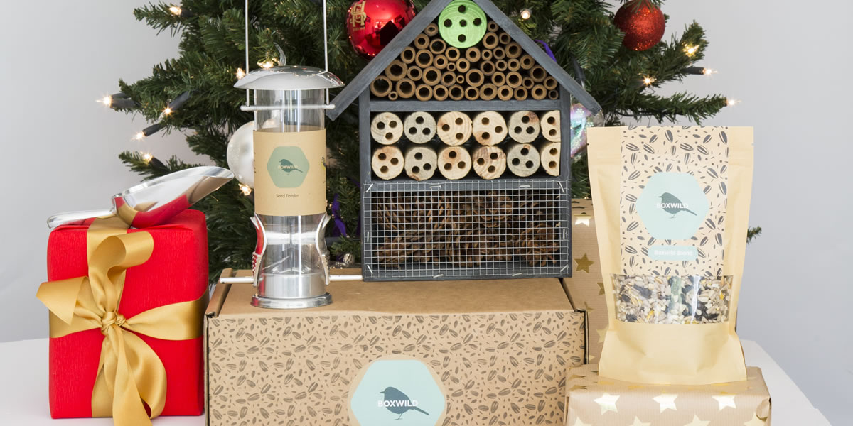 Boxwild The Birds & The Bees Gift Box