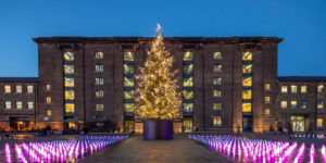Kings Cross Christmas Tree Has Just Gone Up!