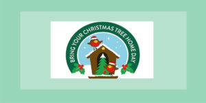 Saturday 8th is officially ‘Bring Your Christmas Tree Home Day’