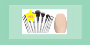 Day NINE 12XmasDays: WIN Nanshy Masterful Collection Pearlescent White Brush Set and Sponge