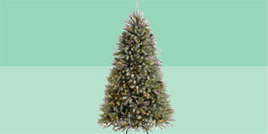 Christmas Trees you can buy NOW!