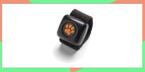 Christmas Gift Review 2019: PitPat Dog Activity Monitor