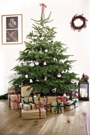 Pines and Needles to sell luxury Villeroy & Boch decorated Christmas tree