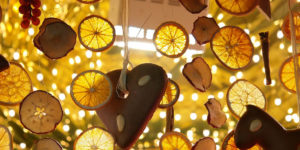 Tips For Keeping Spider Infestation To A Minimum This Christmas
