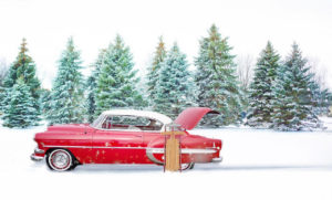 Is a Christmas Tree shortage hitting the UK?
