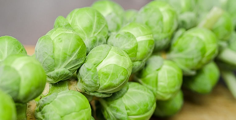 Plate of Brussels Sprouts