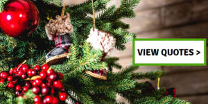 Best Christmas Quotes and Sayings you’ll love