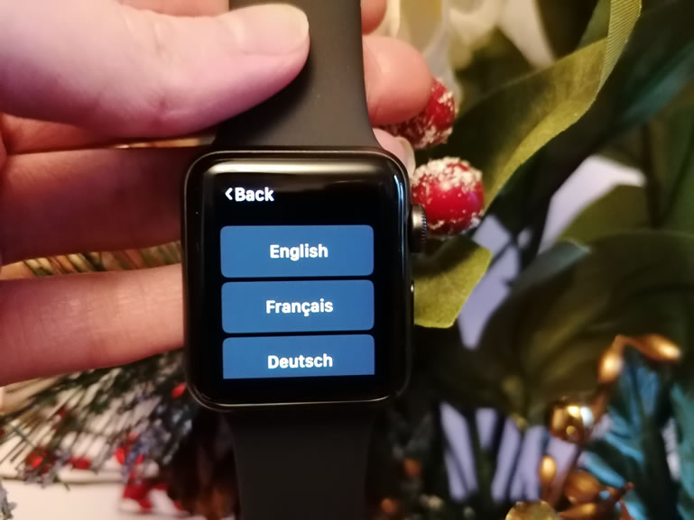Image of Apple Watch Series 3 settings