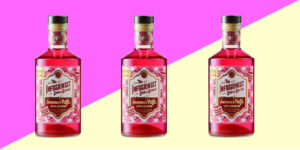 Aldi launches Christmas dessert as Gin Liqueur