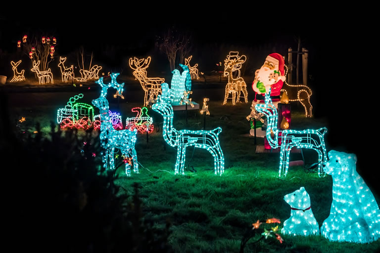 Novelty Outdoor Christmas Lights