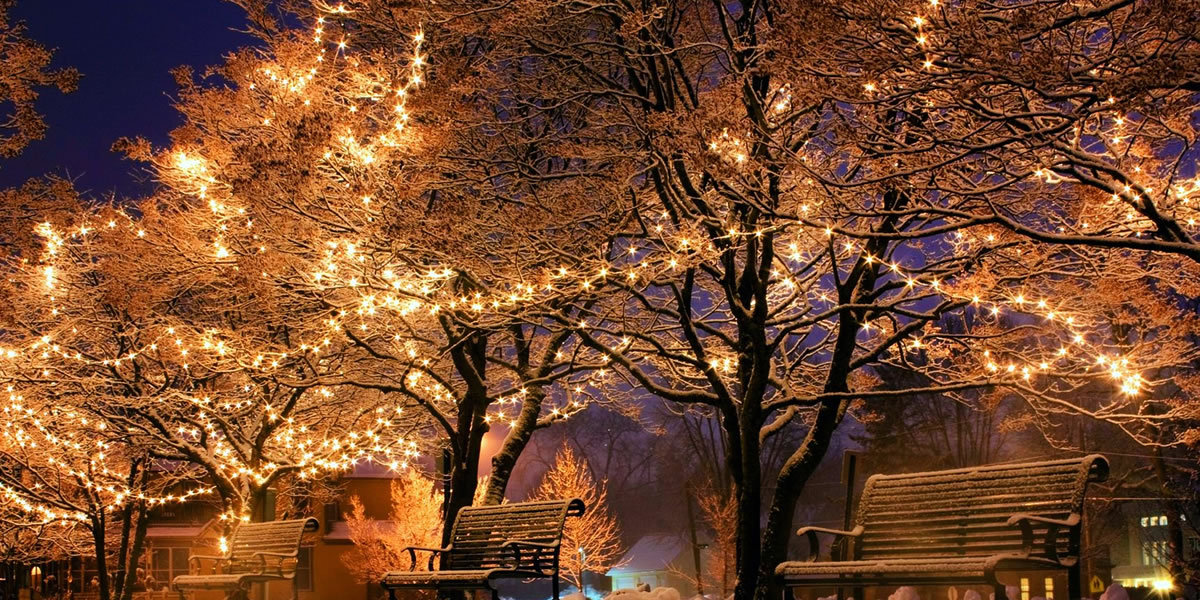 Outdoor Christmas lights