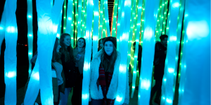 Christmas at Kew 2020: Everything you need to know