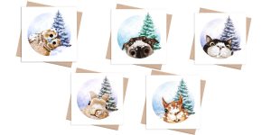 Award winning 1 Tree Cards launch new version of festive boxes