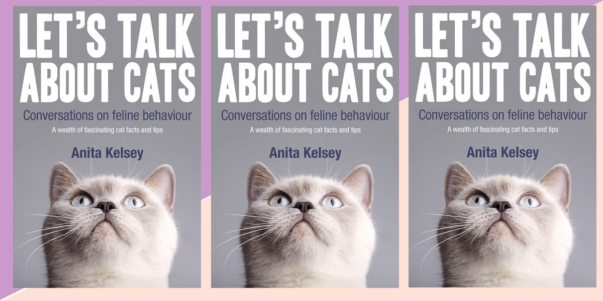 Image Of Let's Talk About Cats Books Giveaway