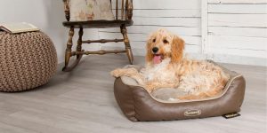 Christmas Gift Review 2020: Pets Love Scruffs Chateau Orthopaedic pet bed