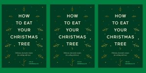 Q&A with author of ‘How To Eat Your Christmas Tree’ Julia Georgallis