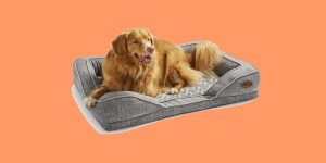 Christmas Gift Review 2020: Silentnight Orthopaedic Pet Bed