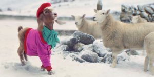 TK Maxx launches its 2020 Christmas Advert