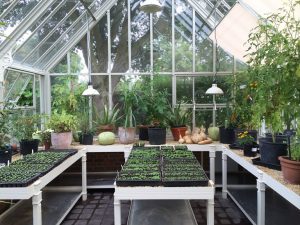 Hartley Botanic Prepare For Winter Growing