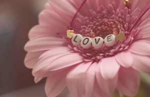 Our top picks for Mother’s Day
