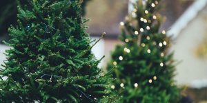 11 things we’re looking forward to this Christmas that we missed last year