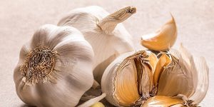 What you should be growing and when by month