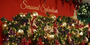 Q&A with Jonathan Hughes from Festive.co.uk on key trends and more
