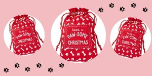 You can now buy Christmas sacks for your pet