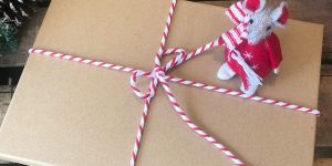 WIN: Elfie’s Christmas Advent Calendar Letters Bundle