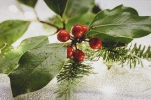 Berries to use on wreaths
