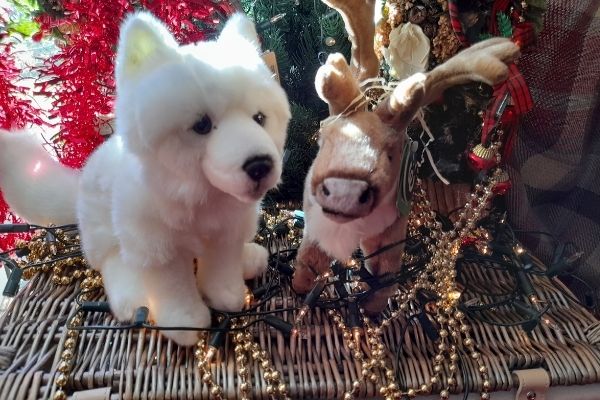 Living Nature Arctic Fox and Standing Reindeer
