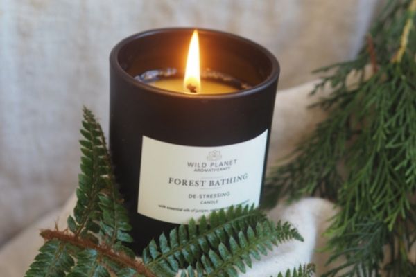 Wild Planet Aromatherapy - Forest Bathing Candle