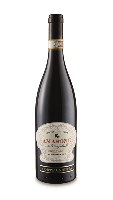 Aldi Winemaster's Lot Amarone