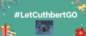 #LetCuthbertGO Aldi’s Cuthbert the Caterpillar NEEDS our help