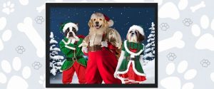 Christmas Gift Review 2021: Paw and Glory Santa & His Elves: Custom Pet Cushion