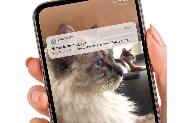 Catit PIXI Smart Drinking Fountain App