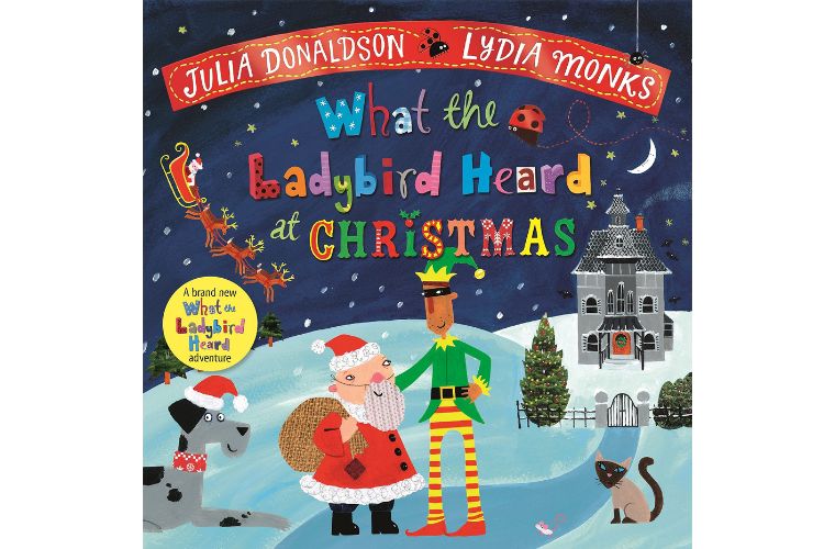Children's Christmas Books 2022 -Ladybird Heard At Christmas by Julia Donaldson, £6.49